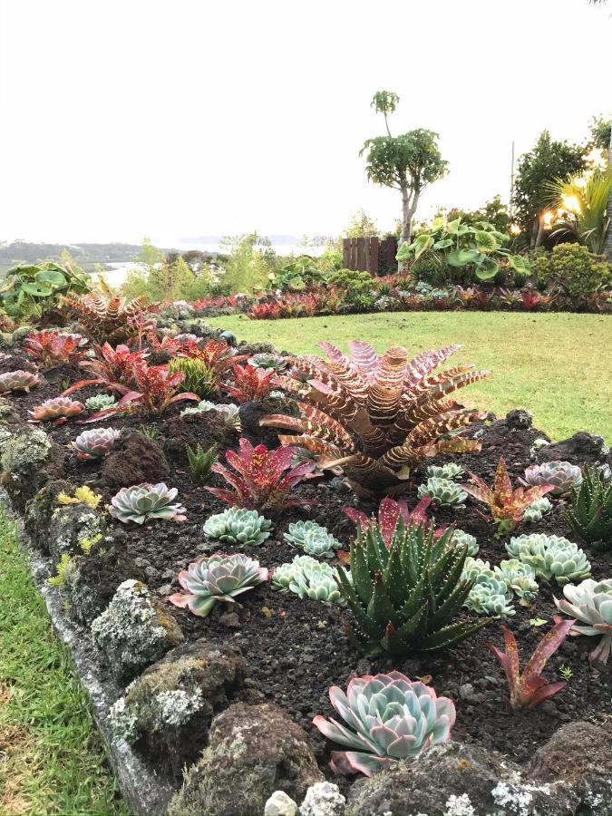 Baywaterviews Bed & Breakfast Haruru Exterior photo